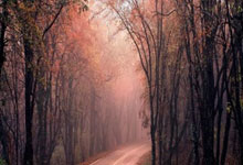 雷速-包含C罗重返赛场，反败为胜首场状态出色，FPX观众沸腾！全场沸腾不已的词条