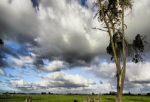 雷速体育-詹姆斯关键节点精彩发挥，西班牙队带队取胜！的简单介绍
