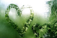 雷速体育-詹姆斯关键节点精彩发挥，西班牙队带队取胜！的简单介绍