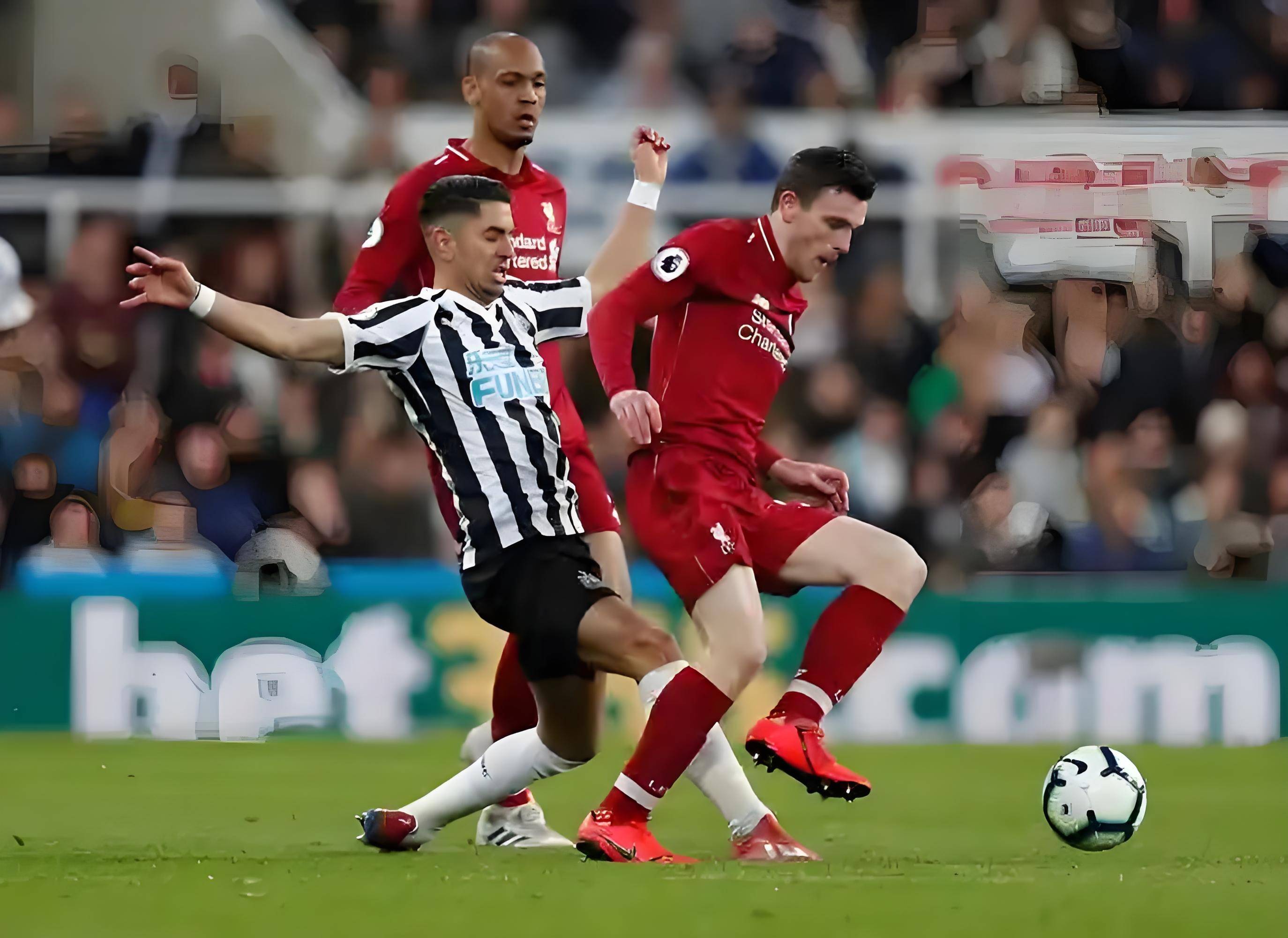  集结日足总杯传出新动向；布莱顿止住颓势；管理层表态：更衣室稳定；纪律约束更严格